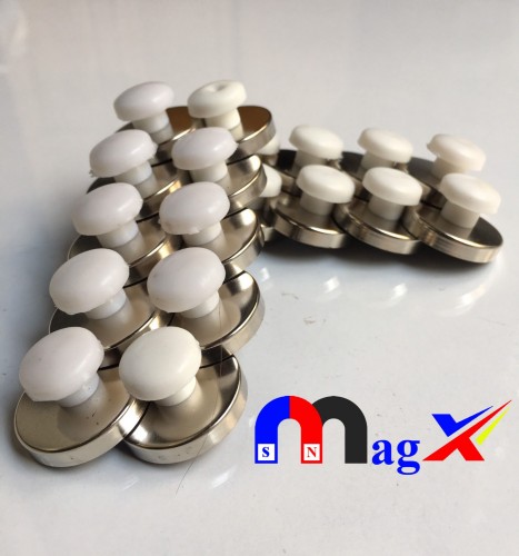 Nút chặn nam châm mạ Inox  - Mã D27S